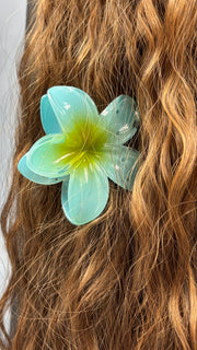 Pince Fleur frangipanier bleue