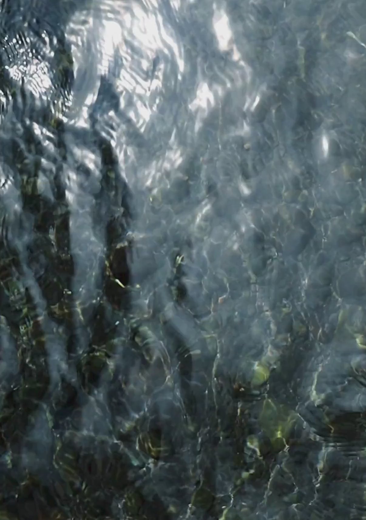 Charger la vidéo : Shampoings Hinaiti montrés sur une plage