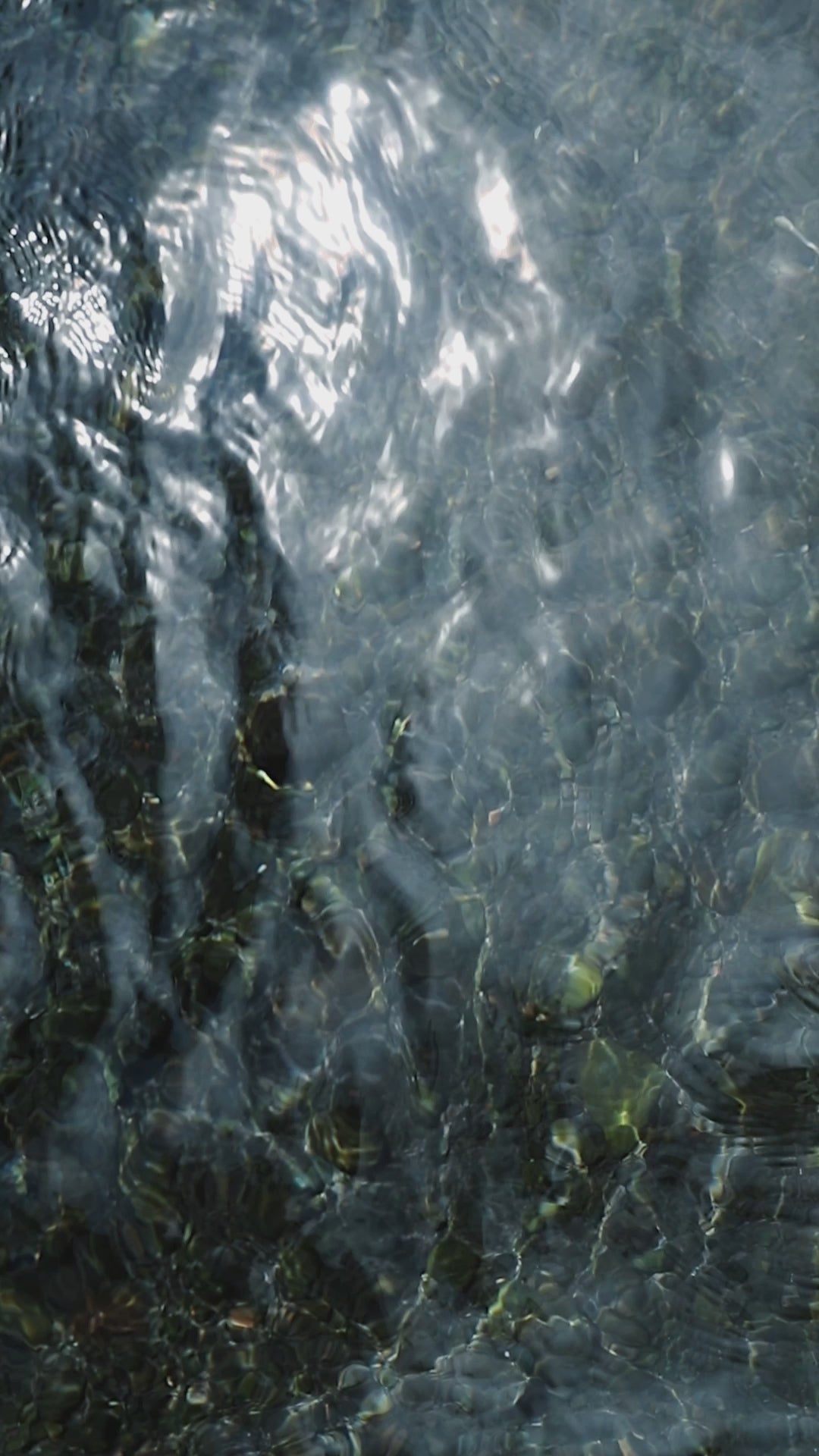Charger la vidéo : Shampoings Hinaiti montrés sur une plage